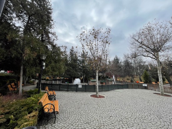 Ankarada Soğuk havalar sebebiyle Kuğulu park sessizliğe büründü 