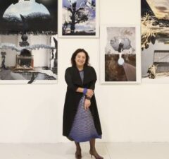 ani celik arevyan isigin sesi sergisi cermodern