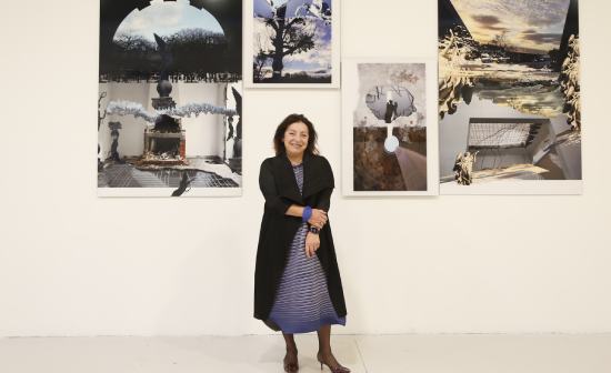 ani celik arevyan isigin sesi sergisi cermodern